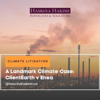 Cover Page Climate Litigation